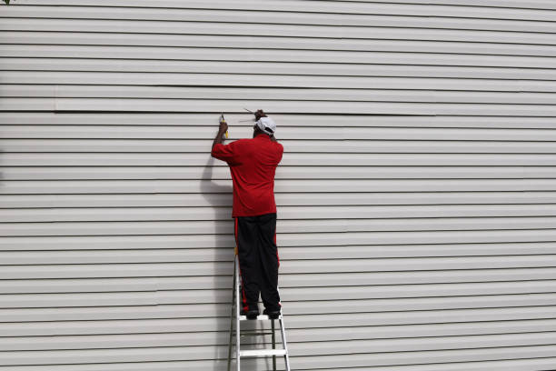 Best Stucco Siding  in Clifton, AZ