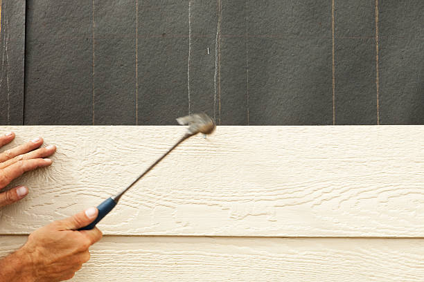 Best Stone Veneer Siding  in Clifton, AZ
